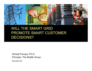 WILL THE SMART GRID PROMOTE SMART CUSTOMER DECISIONS? Ahmad Faruqui, Ph.D.