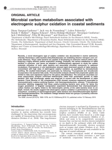 Microbial carbon metabolism associated with electrogenic sulphur oxidation in coastal sediments