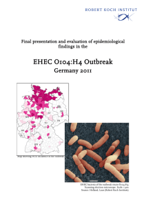 EHEC O104:H4 Outbreak  Germany 2011