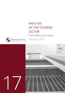 17 ANALYSIS OF THE TOURISM SECTOR