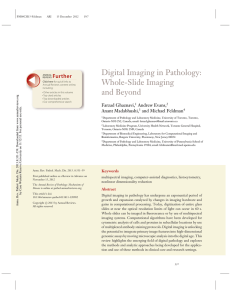 Digital Imaging in Pathology: Whole-Slide Imaging Further