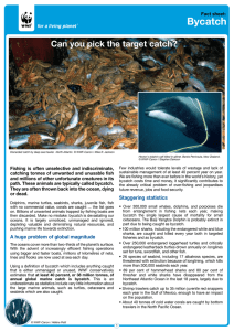 Bycatch Can you pick the target catch? Fact sheet: