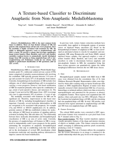 A Texture-based Classifier to Discriminate Anaplastic from Non-Anaplastic Medulloblastoma