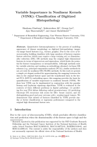 Variable Importance in Nonlinear Kernels (VINK): Classification of Digitized Histopathology Shoshana Ginsburg