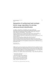 Integration of architectural and cytologic driven image algorithms for prostate adenocarcinoma identification