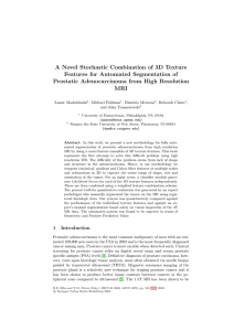 A Novel Stochastic Combination of 3D Texture