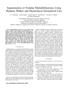 Segmentation of Nodular Medulloblastoma Using Random Walker and Hierarchical Normalized Cuts