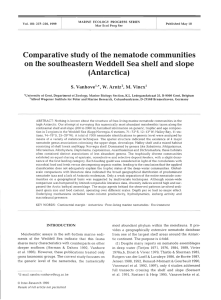Comparative study of  the nematode communities (Antarctica)