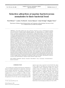 Selective attraction of  marine bacterivorous nematodes to their bacterial food 1