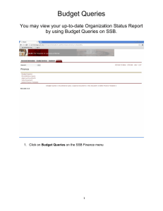 Budget Queries You may view your up-to-date Organization Status Report 1
