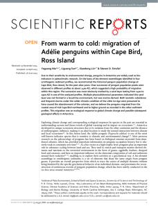 From warm to cold: migration of Adélie penguins within Cape Bird, www.nature.com/scientificreports