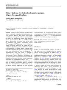 Dietary isotopic discrimination in gentoo penguin (Pygoscelis papua) feathers Michael J. Polito