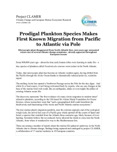 Prodigal Plankton Species Makes First Known Migration from Pacific Project CLAMER