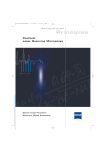 Principles Confocal Laser Scanning Microscopy