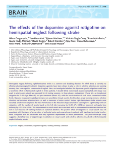 BRAIN The effects of the dopamine agonist rotigotine on