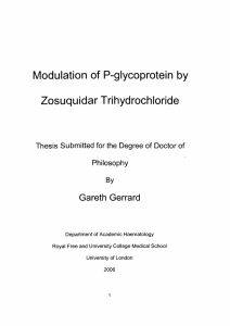 Modulation  of P-glycoprotein  by Zosuquidar Trihydrochloride Gareth  Gerrard