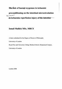 ^Ehelfale of haem^ oxygenase in ischaemic preconditioning on the intestinal microcirculation