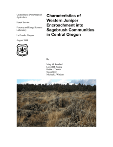 Characteristics of Western Juniper Encroachment into Sagebrush Communities