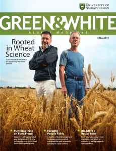 Rooted in Wheat Science