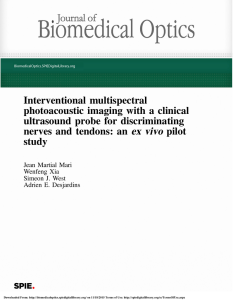 Interventional multispectral photoacoustic imaging with a clinical ultrasound probe for discriminating