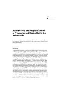 7 A Field Survey of Estrogenic Effects Netherlands
