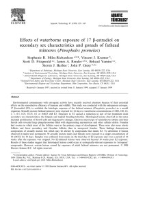 b-estradiol on Effects of waterborne exposure of 17