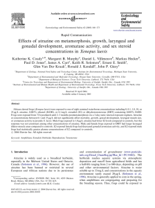 Effects of atrazine on metamorphosis, growth, laryngeal and