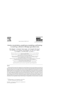 Atrazine concentrations, gonadal gross morphology and histology