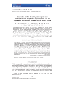 Expression profile of oestrogen receptors and Oryzias latipes