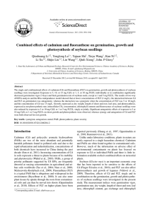 ﬀects of cadmium and ﬂuoranthene on germination, growth and Combined e