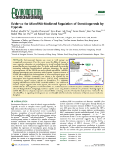 Evidence for MicroRNA-Mediated Regulation of Steroidogenesis by Hypoxia