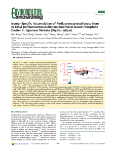 ﬁc Accumulation of Perﬂuorooctanesulfonate from Isomer-Speci N‑Ethyl perﬂuorooctanesulfonamido)ethanol-based Phosphate