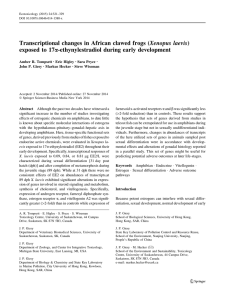 Transcriptional changes in African clawed frogs (Xenopus laevis) exposed to 17