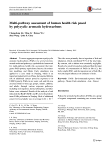 Multi-pathway assessment of human health risk posed by polycyclic aromatic hydrocarbons