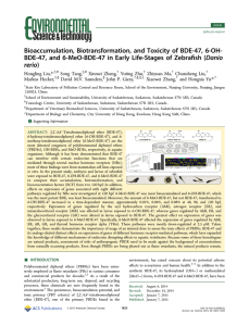 ‑OH- Bioaccumulation, Biotransformation, and Toxicity of BDE-47, 6