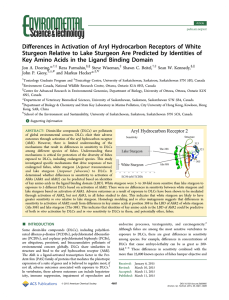 ﬀerences in Activation of Aryl Hydrocarbon Receptors of White Di