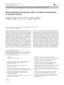 Bioaccumulation and molecular effects of sediment-bound metals in zebrafish embryos