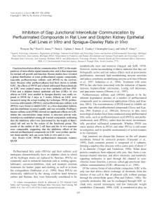 Inhibition of Gap Junctional Intercellular Communication by