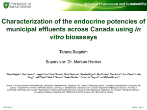 Characterization of the endocrine potencies of in vitro