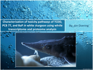By: Jon Doering Characterization of toxicity pathways of TCDD,