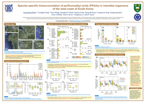 Species-specific bioaccumulation of perfluoroalkyl acids (PFAAs) in intertidal organisms