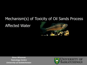 Mechanism(s) of Toxicity of Oil Sands Process Affected Water Steve Wiseman Toxicology Centre