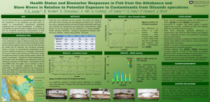 Health Status and Biomarker Responses in Fish from the Athabasca... Slave Rivers in Relation to Potential Exposure to Contaminants from...