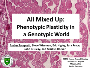 All Mixed Up: Phenotypic Plasticity in a Genotypic World