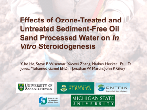 Effects of Ozone-Treated and Untreated Sediment-Free Oil In Vitro
