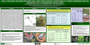 ADULT AND NESTLING BAND RETURNS AND LONG-TERM SURVIVAL MONITORING OF... INHABITING THE TITTABAWASSEE RIVER BASIN