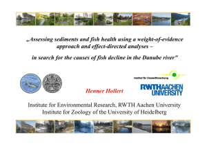 Assessing sediments and fish health using a weight-of-evidence