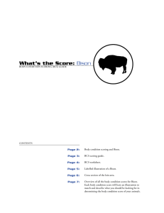 What’s the Score: Bison Page 2: Page 3: