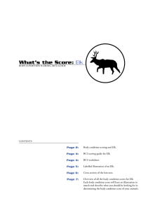 What’s the Score: Elk Page 2: Page 4: