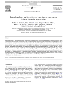 Retinal synthesis and deposition of complement components induced by ocular hypertension